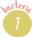 バクテリア1