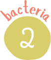 バクテリア2