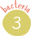 バクテリア3