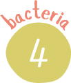 バクテリア4
